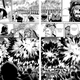 Illustration for article titled AnimeGATE: Thus AniTAY Compared Them (Ep 4 vs. Ch 7-8)